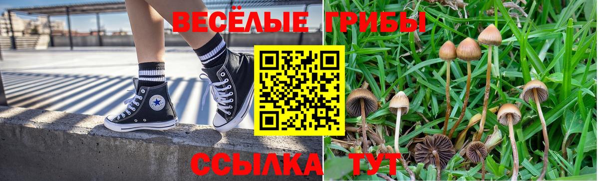 наркотики  Вход с VPN  Новодвинск  Галлюциногенные грибы Magic Shrooms 