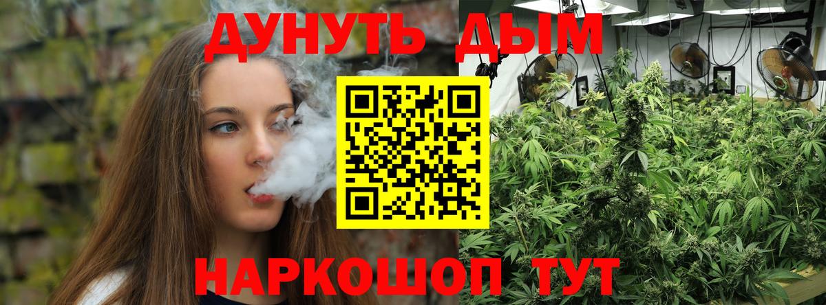 Шишки марихуана SATIVA & INDICA Новодвинск
